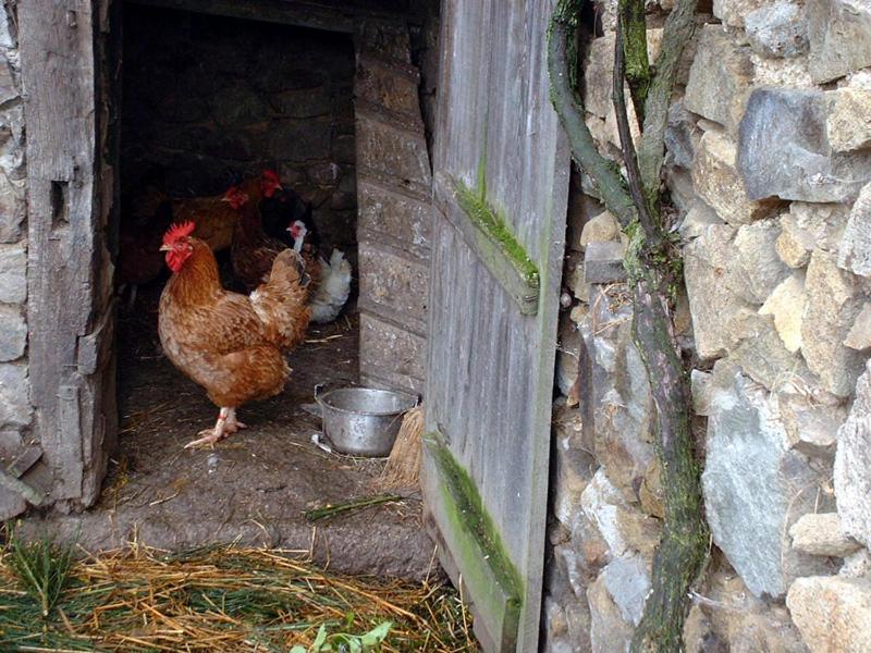 Hotel Le Relais Du Coustoubi Campouriez Kültér fotó